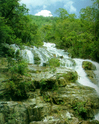 ภาพน้ำตก